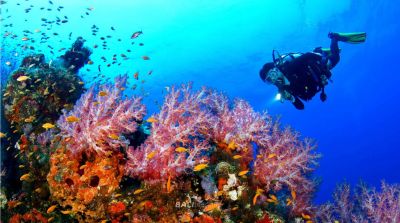 Nusa Dua Diving